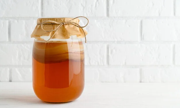 Kombucha
