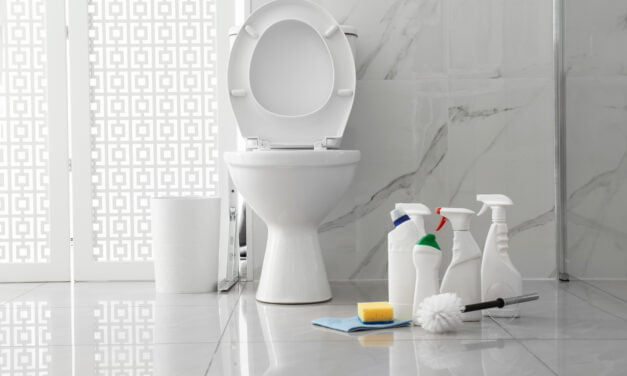Gel nettoyant pour toilettes
