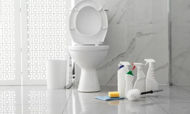 Gel nettoyant pour toilettes